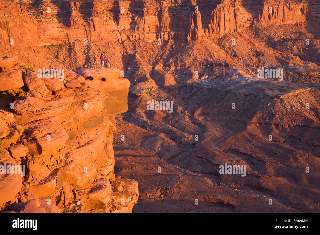 A visitor enjoys the view from Green River Overlook, Island in the Sky District, Canyonlands National Park, near Moab, Utah. Stock Photo