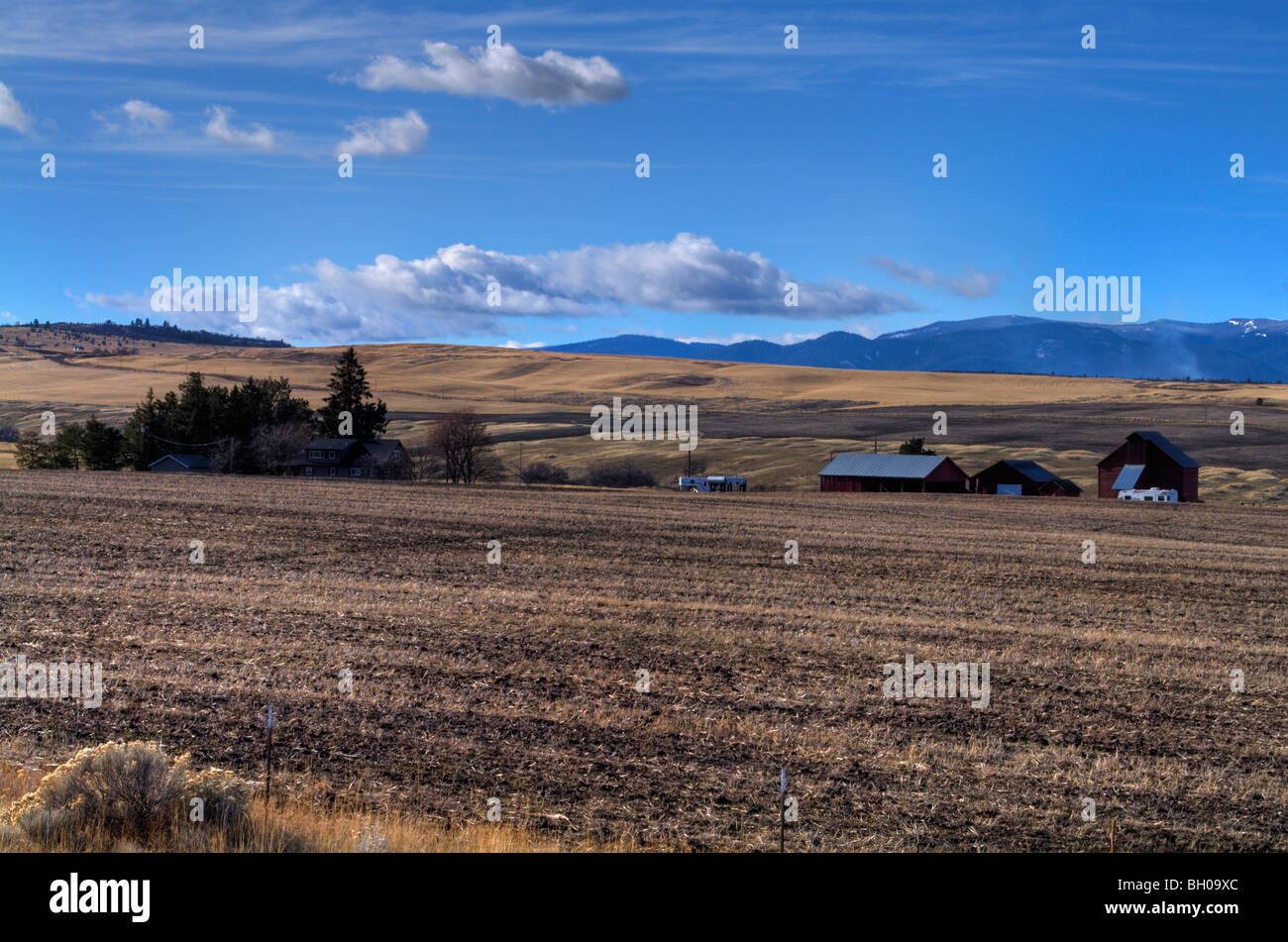 A photo of a Central Oregon farm with the Cascades looming on the horizon. Stock Photo