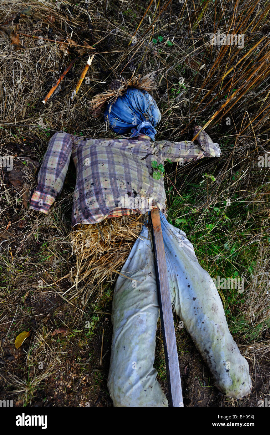 A fallen scarecrow who had been watching over a garden in Hood River, Oregon. Stock Photo