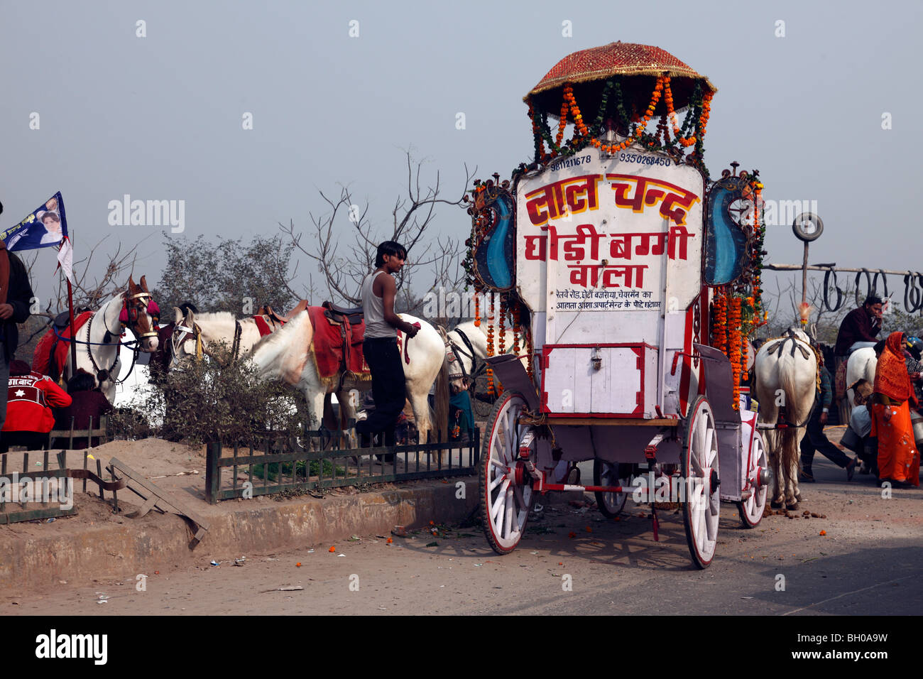 Gilded horses hi-res stock photography and images - Alamy