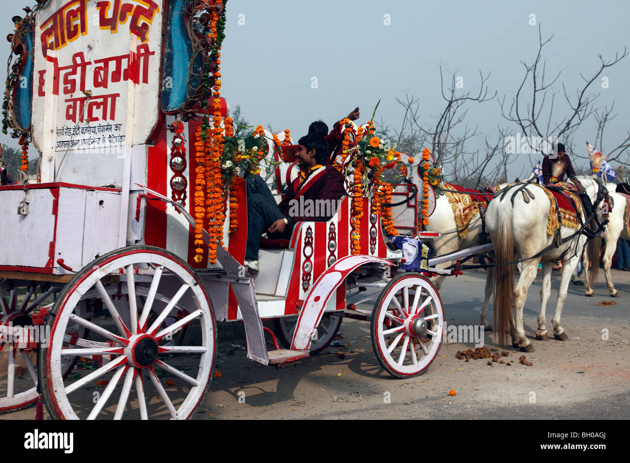 Gilded horses hi-res stock photography and images - Alamy
