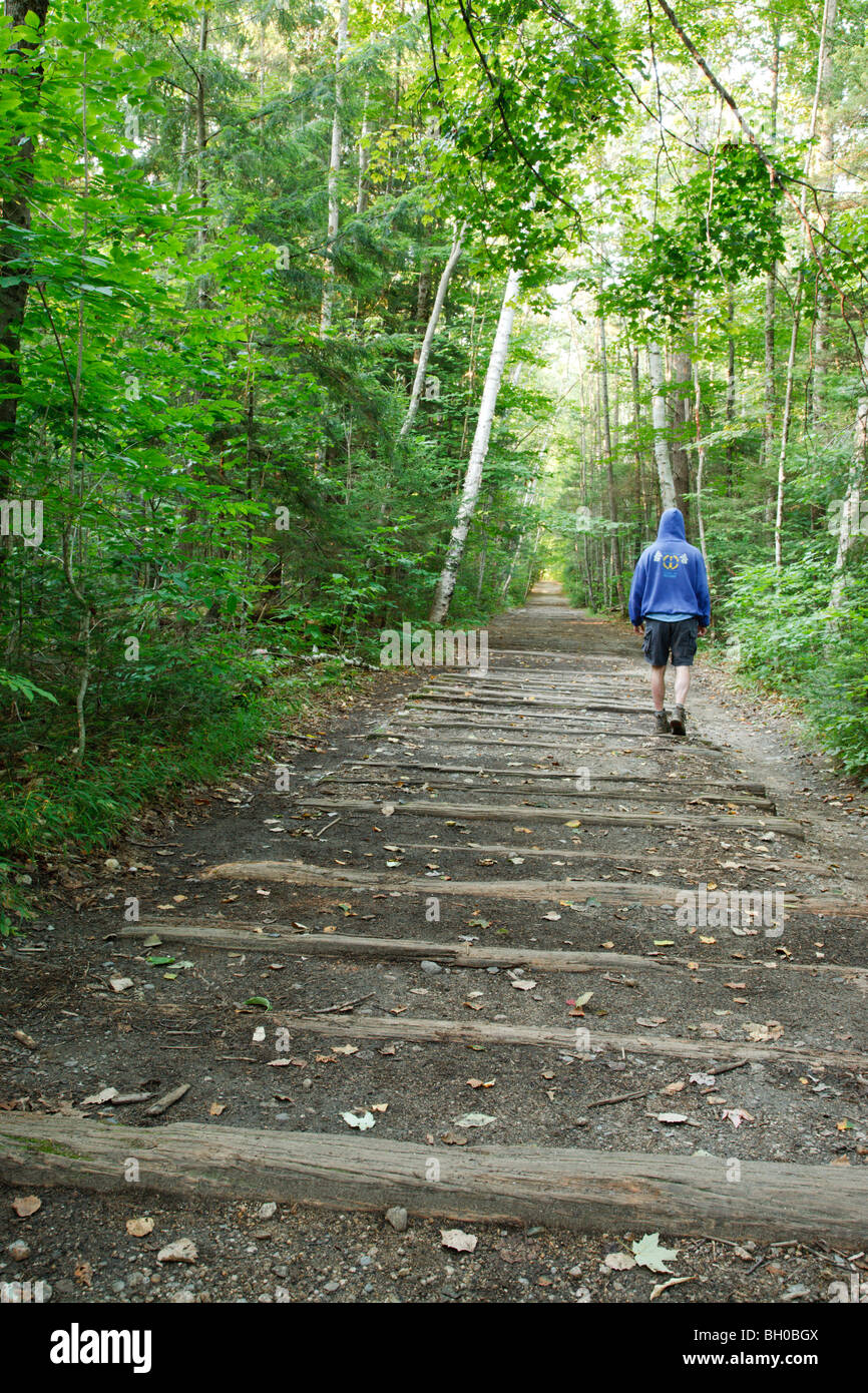 Hiker on Lincoln Woods Trail in Lincoln, New Hampshire USA Stock Photo