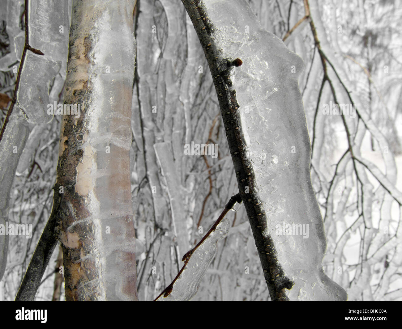 Extreme weather -winter - hoarfrost and glazed frost Stock Photo