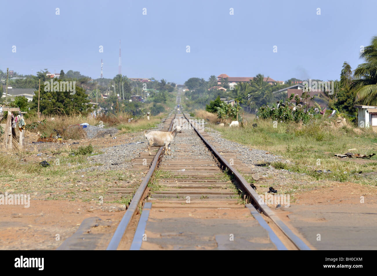 Railway Line Ghana goat Stock Photo