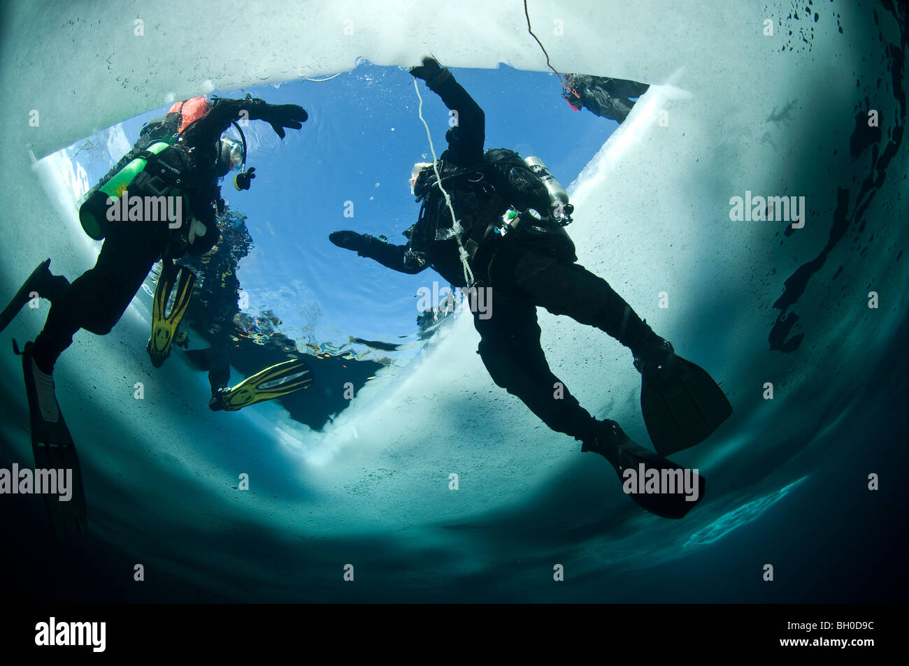Winter Ice Diving Underwater In A Quarry In Canada Stock Photo Alamy