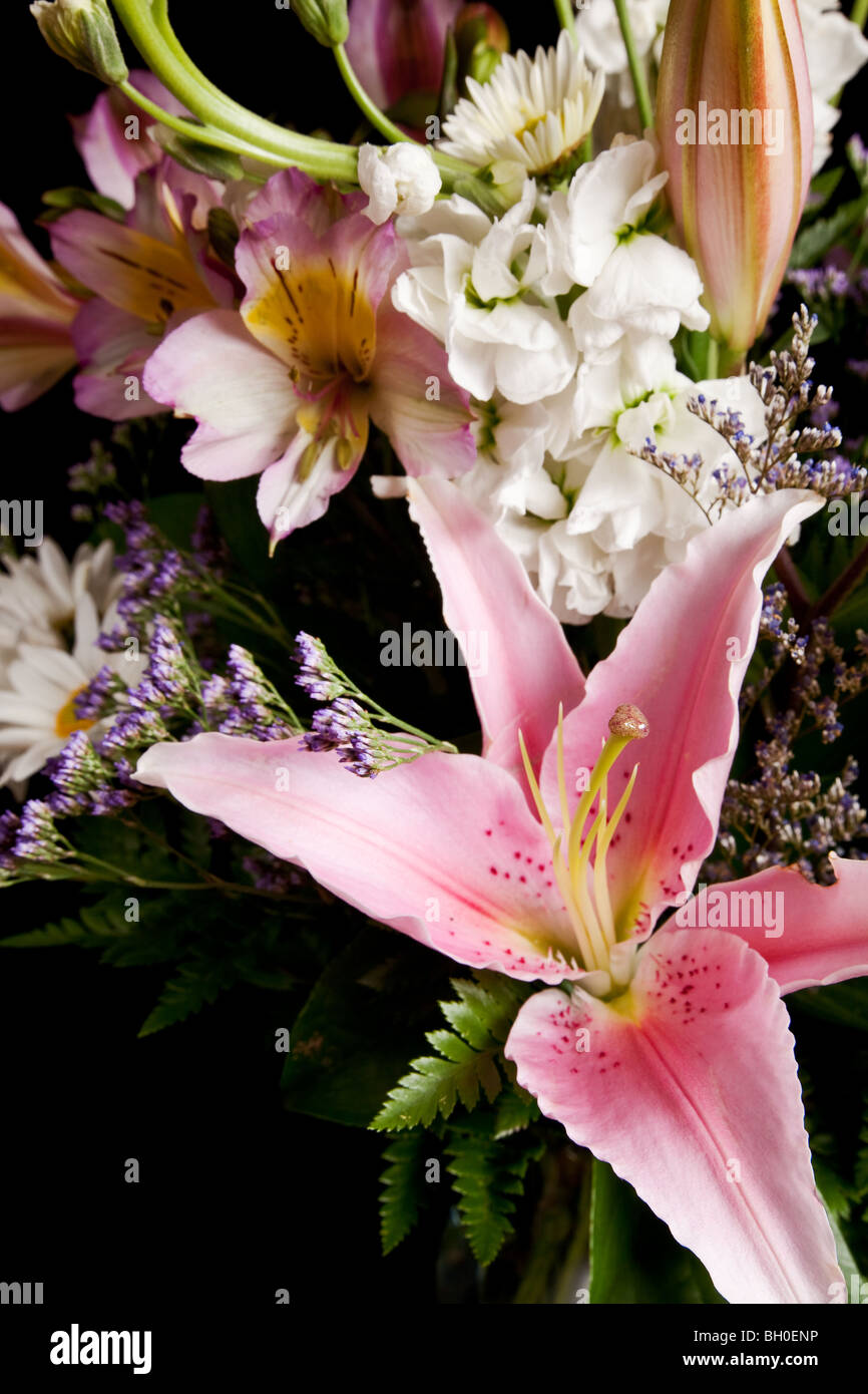 Lily flower bouquet hi-res stock photography and images - Alamy