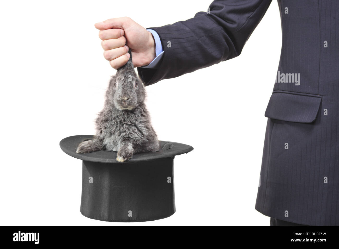 Magician holding a rabbit isolated on white background Stock Photo Alamy