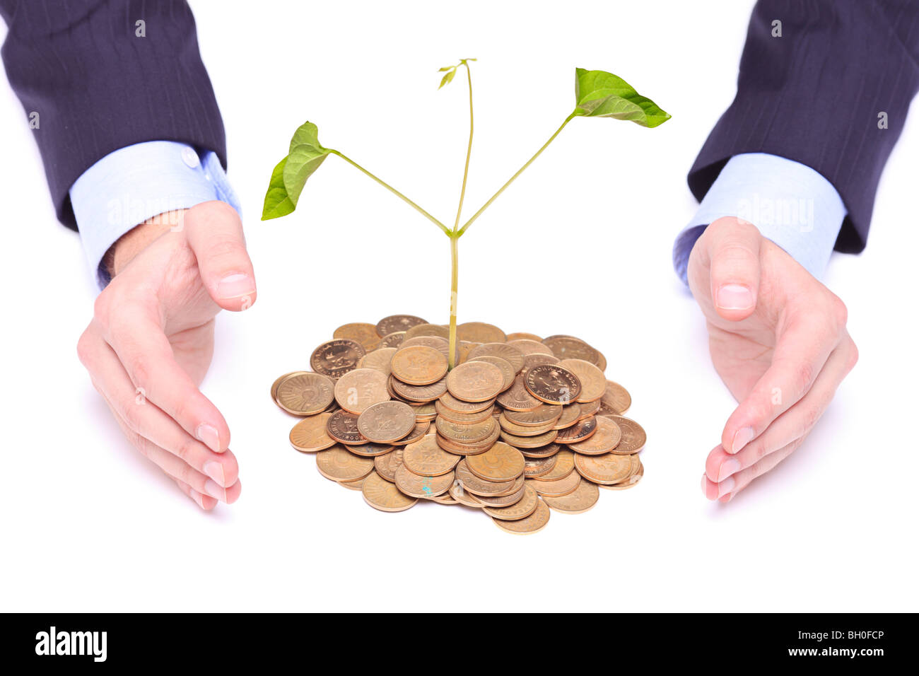 Hands protecting a heap of coins with a plant growing from it Stock Photo