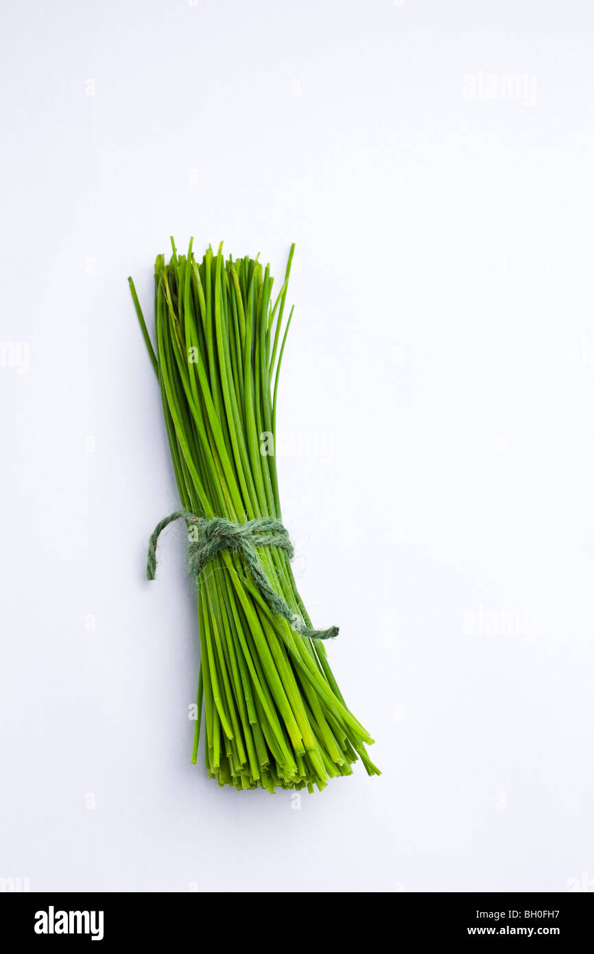 Bunch of chives on white background Stock Photo - Alamy