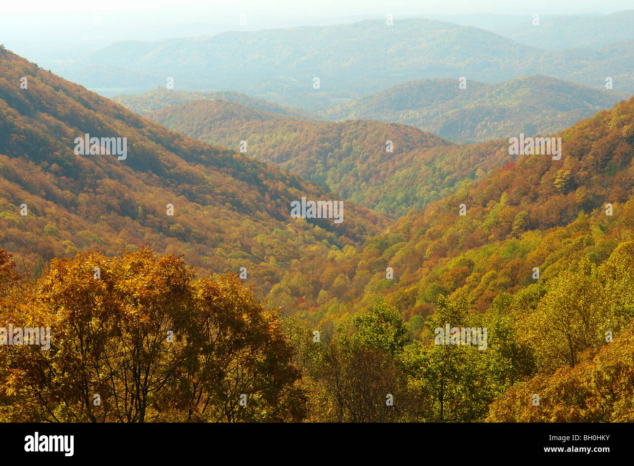 Blue ridge Parkway, NC, North Carolina, Doughton Park, autumn, overlook Stock Photo