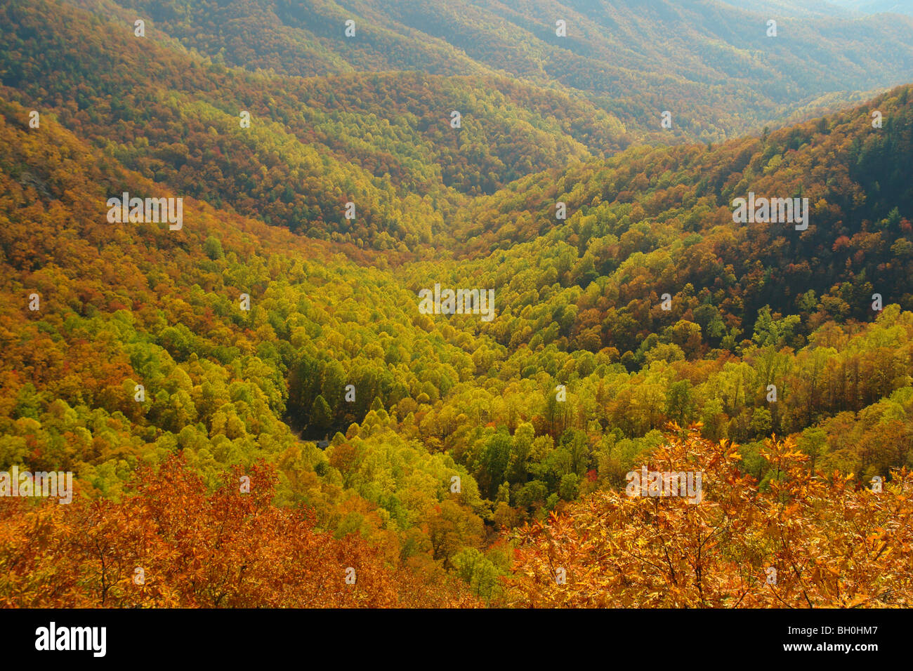 Blue Ridge Parkway, NC, North Carolina, Doughton Park, autumn, overlook Stock Photo