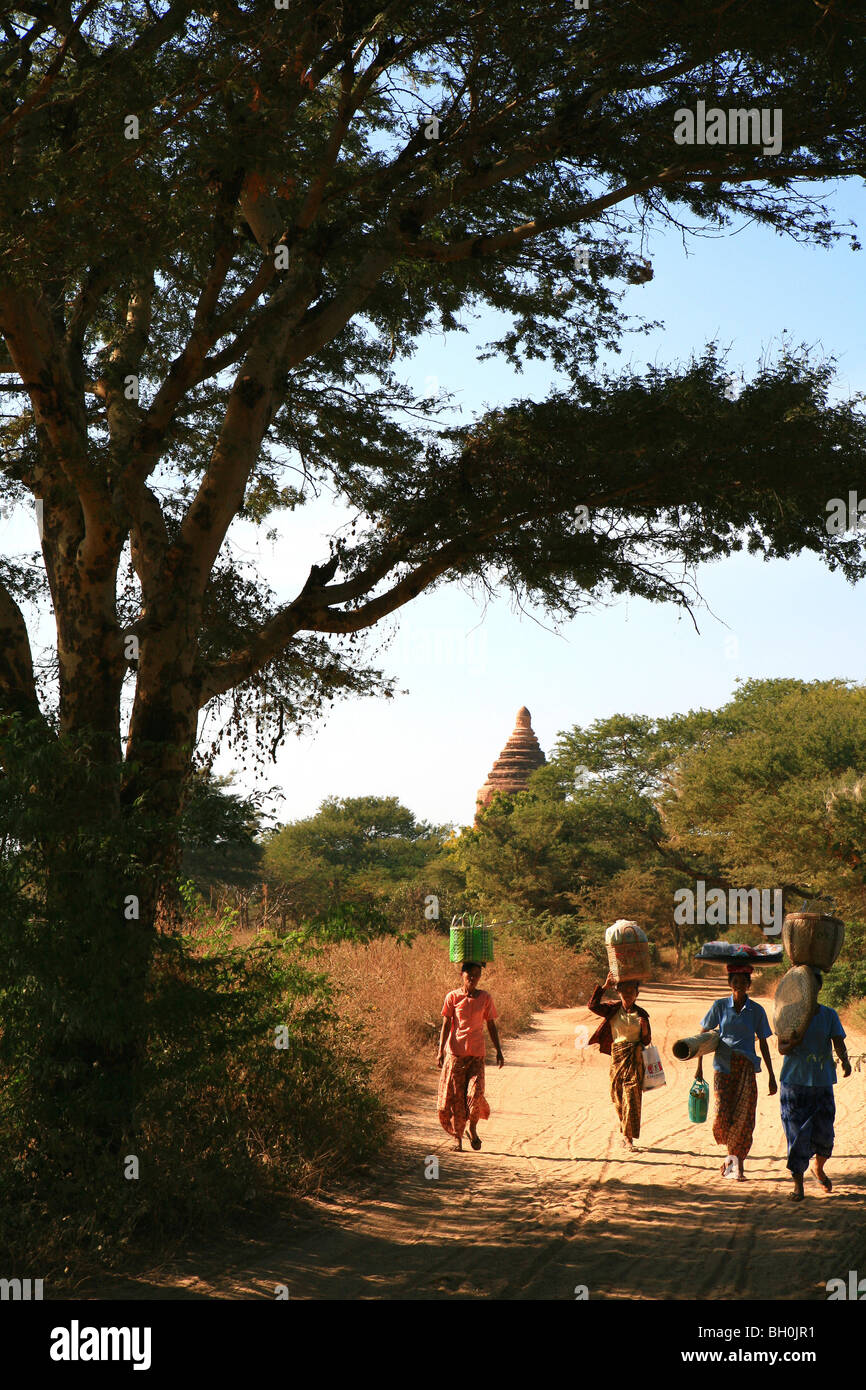 Women carrying baskets under trees at the temple area, Bagan, Myanmar