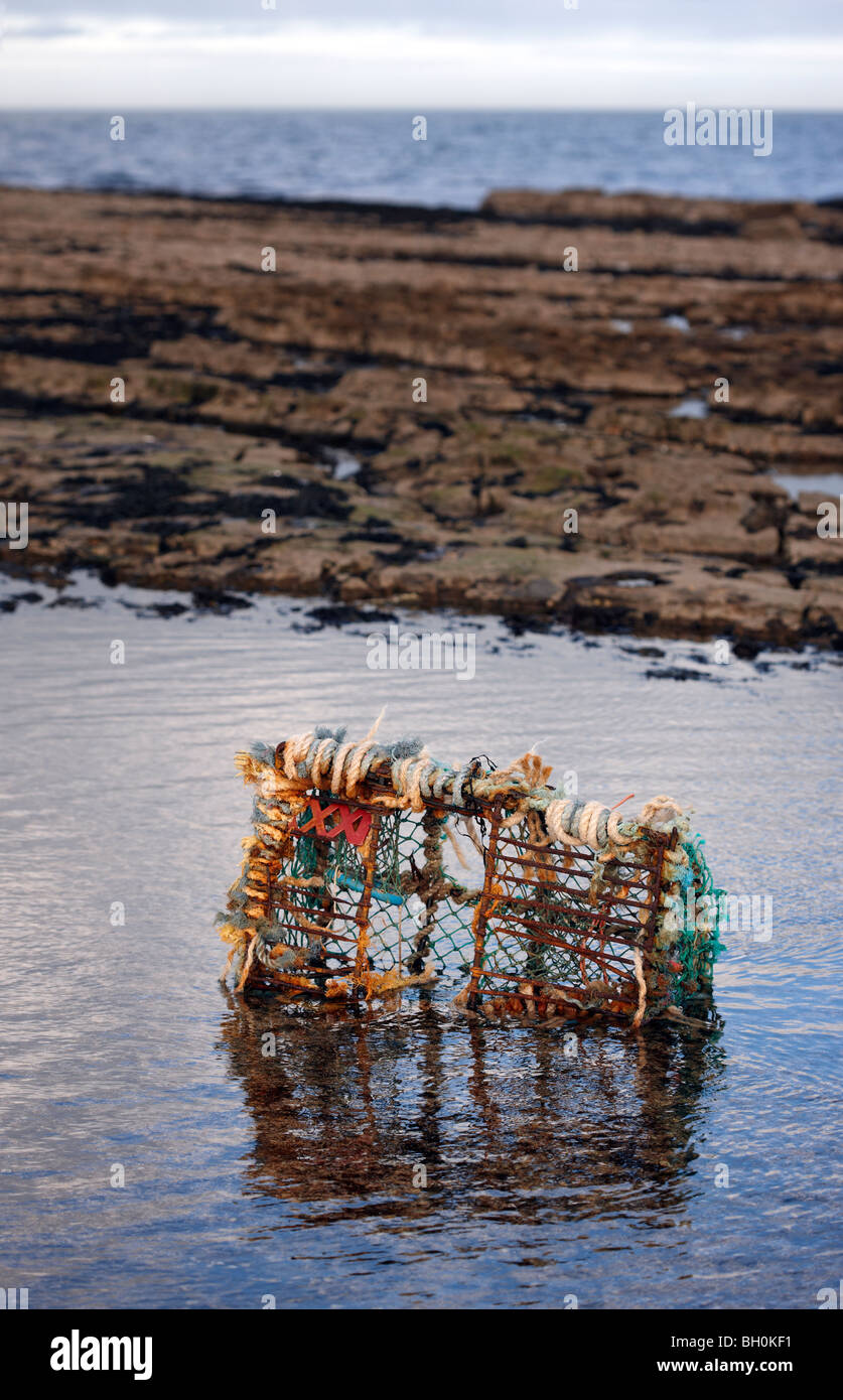 Broken lobster pot washed up on a Northumbrian beach Stock Photo