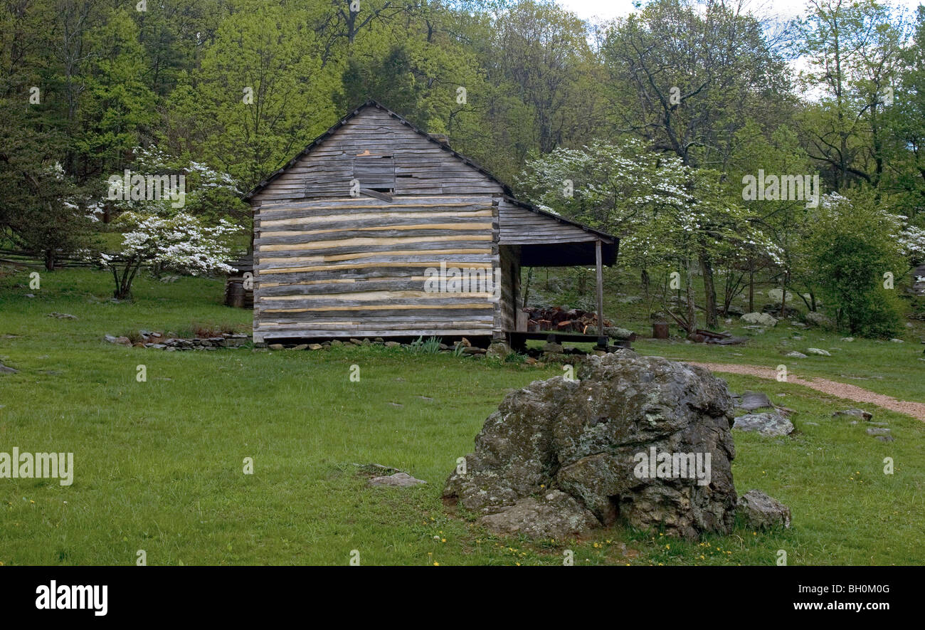 Pioneer cabin tree hi-res stock photography and images - Alamy