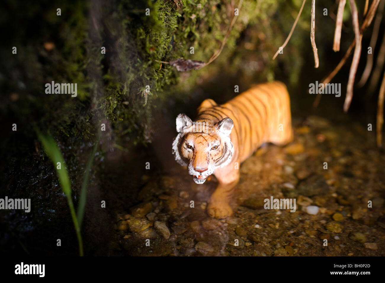 Toy tiger standing in the water Stock Photo