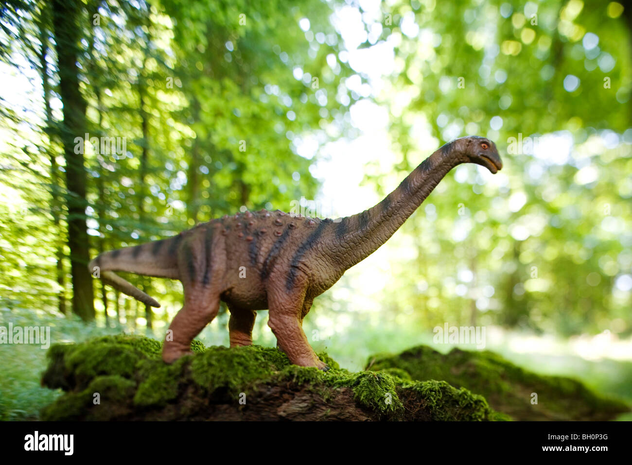 Toy saltasaurus in front of deciduous trees Stock Photo