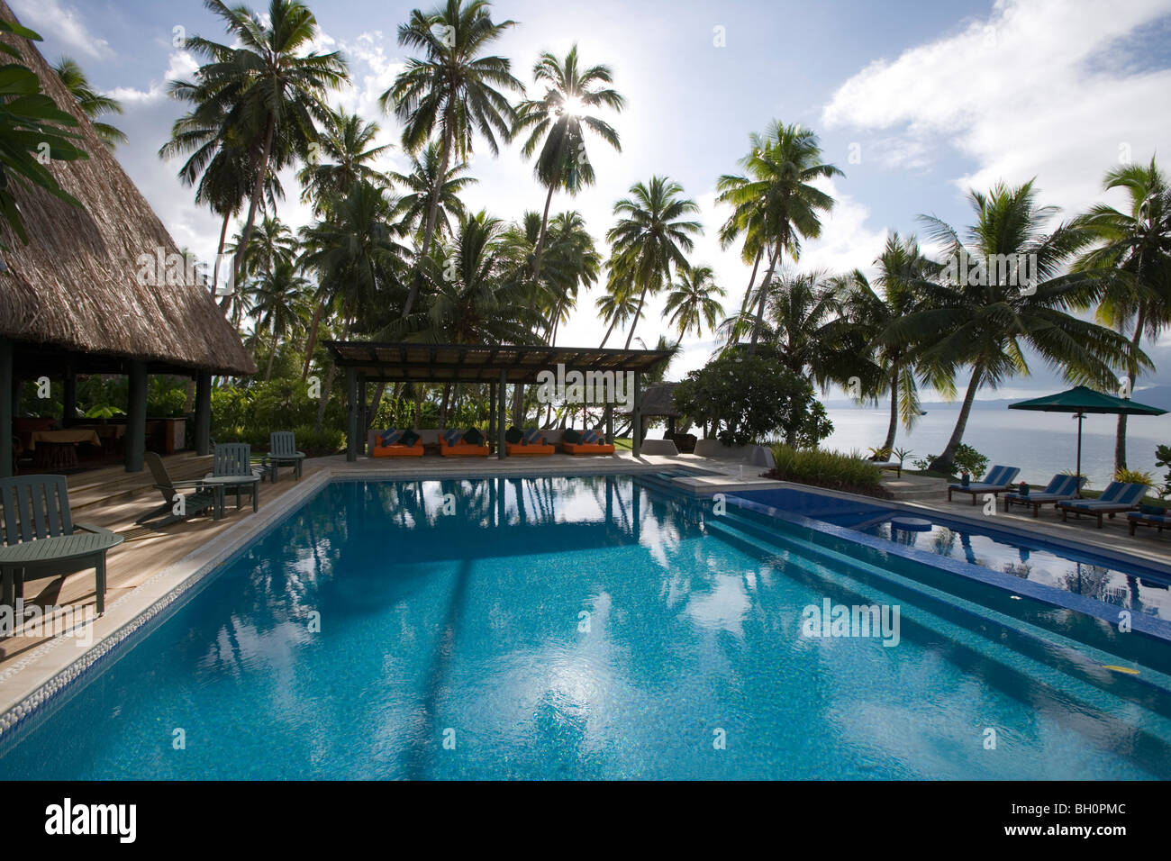 Swimming pool and palm trees at Jean-Michel Cousteau Resort, Savusavu, Vanua Levu, Fiji Islands, South Pacific, Oceania Stock Photo