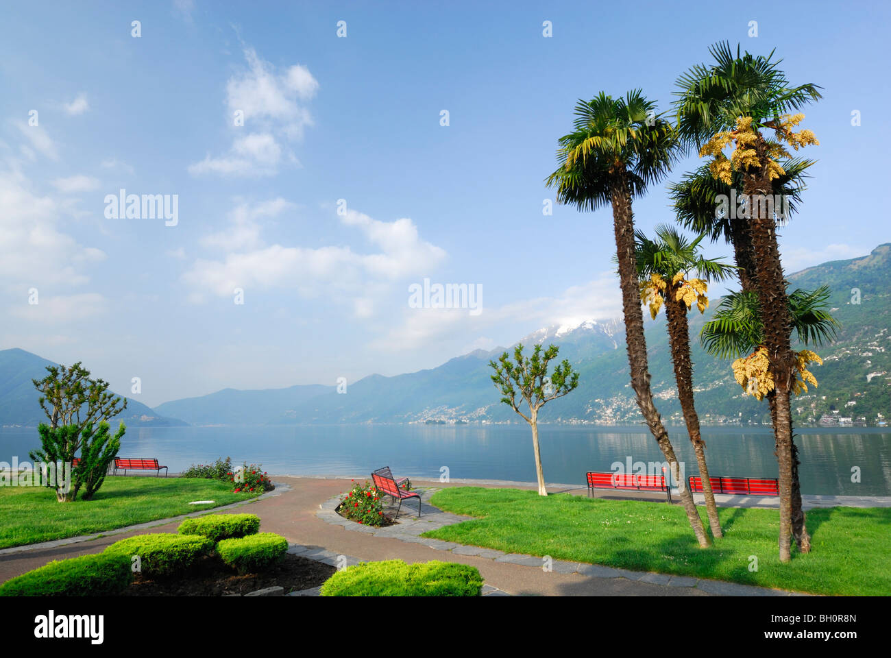 Park with benches and palm trees and view towards lake Maggiore, Ascona, lake Maggiore, Lago Maggiore, Ticino, Switzerland Stock Photo