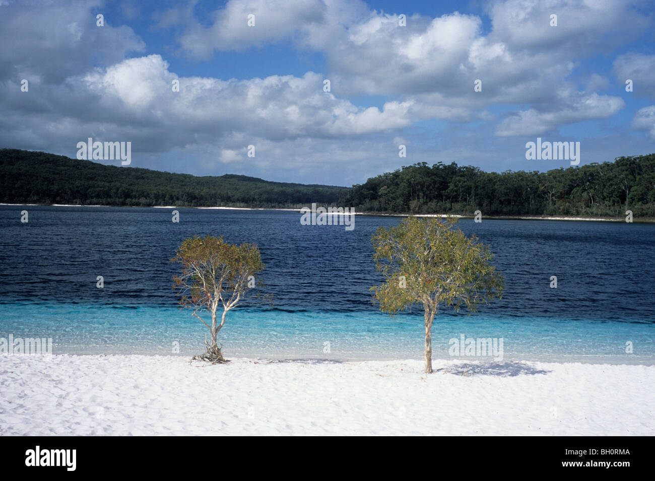 Lake McKenzie, Fraser Island, Queensland, Australia Stock Photo Alamy