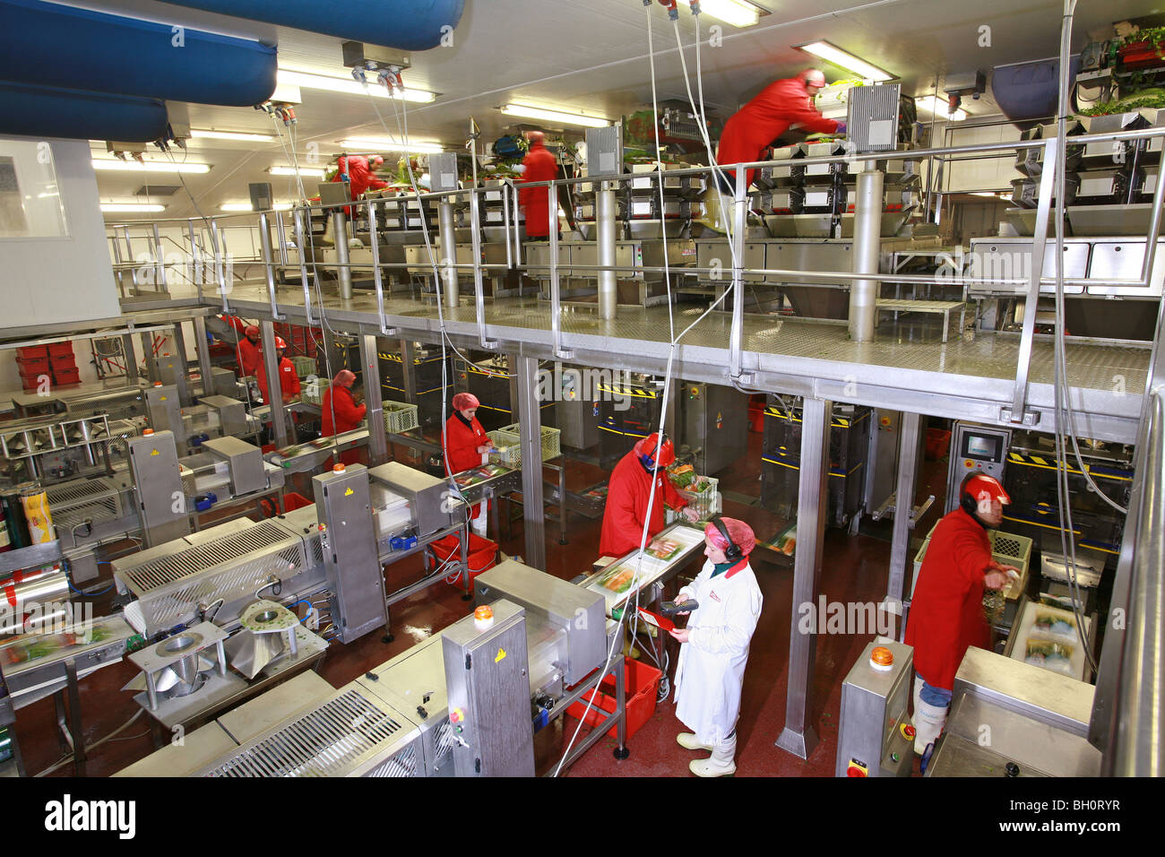 workers in a food processing factory Stock Photo Alamy