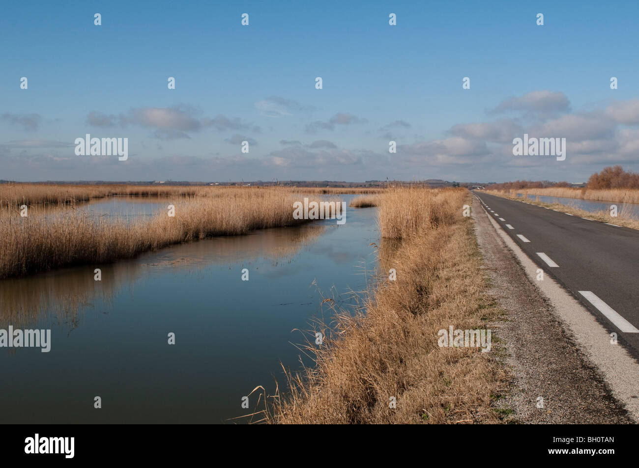 Le Short Camargue main image 1