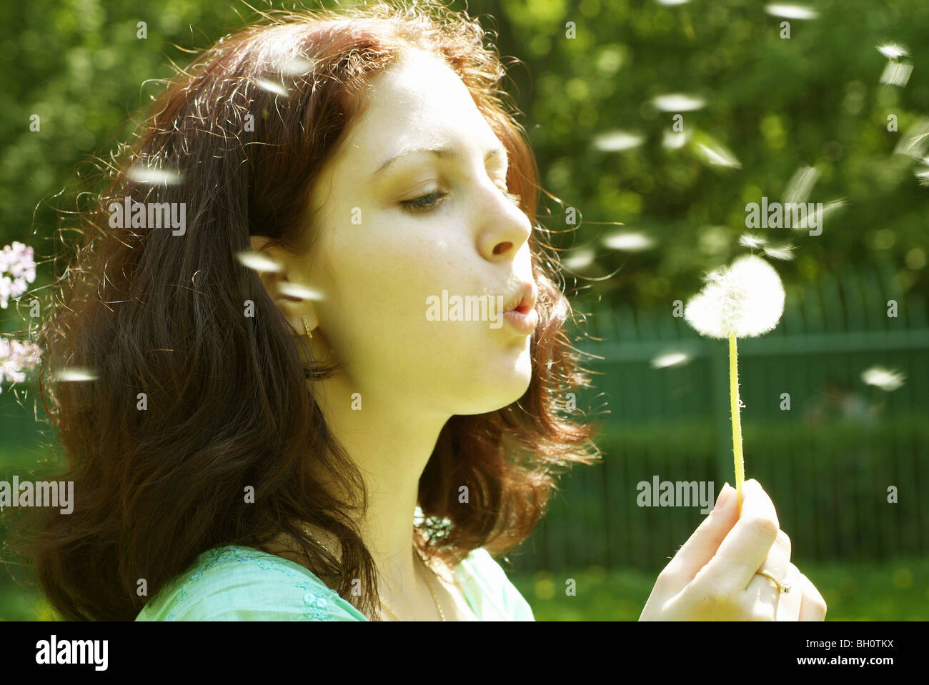girl with a dandelion Stock Photo - Alamy