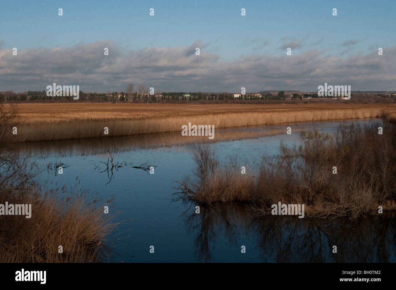 Le Short Camargue