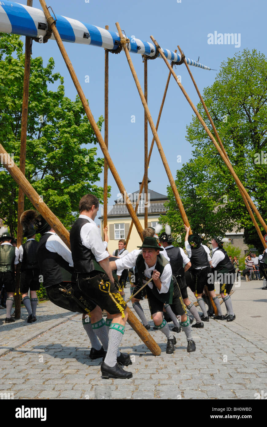 Setting up the Maypole, Bad Aibling, Upper Bavaria, Bavaria, Germany Stock Photo