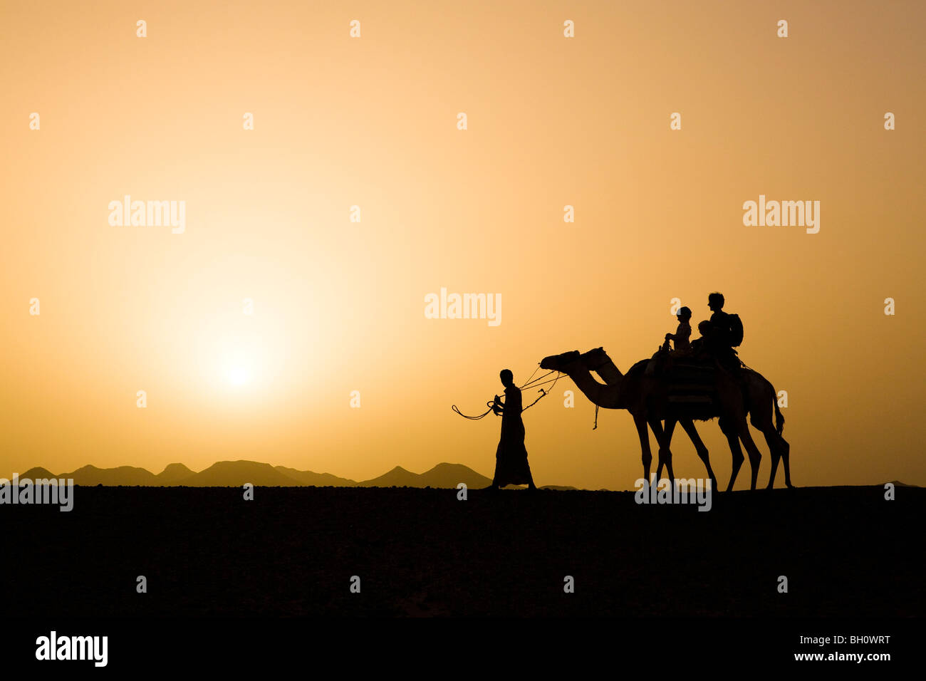 Back view mother leading child hi-res stock photography and images - Alamy