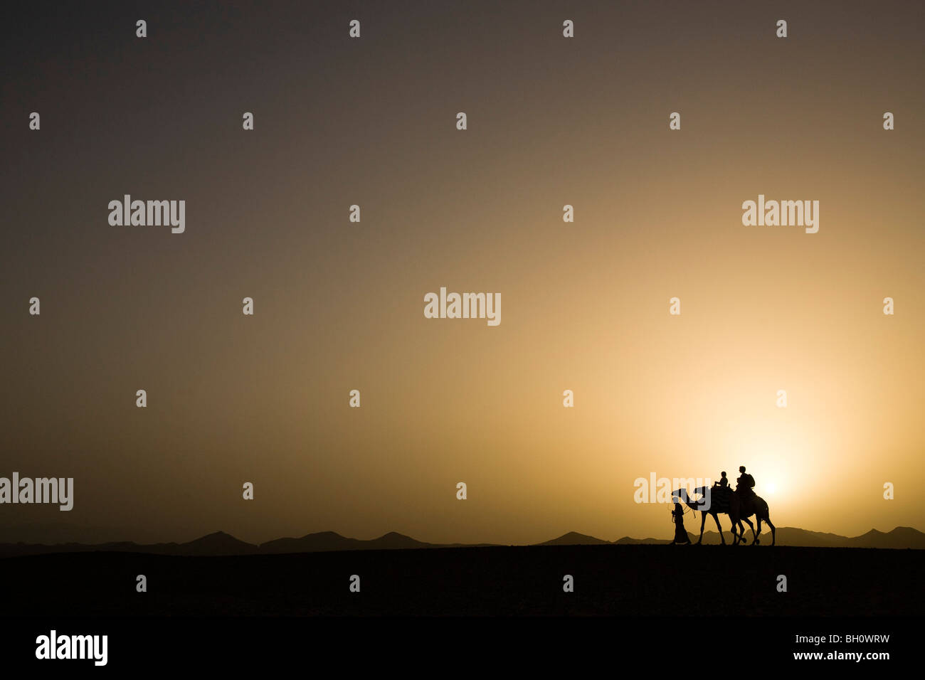 A man, a bedouin leading two camels with tourists, a mother and two children at sunset, Marsa Alam desert, Red Sea, Egypt Stock Photo