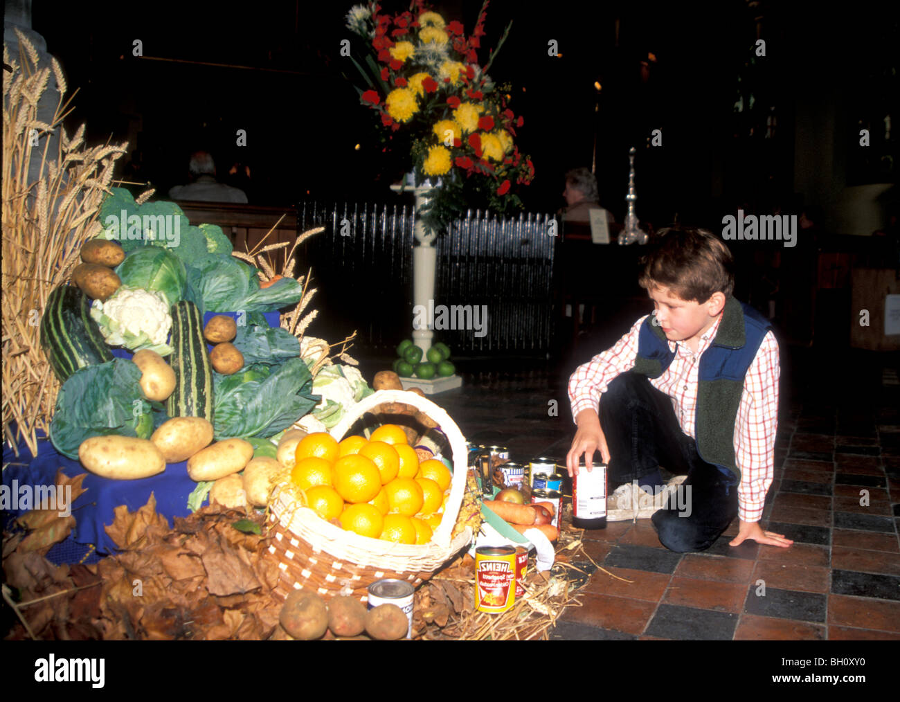 Young boy placing food for the Harvest Festival display in his church, St Saviours, Pimlico. London. Stock Photo