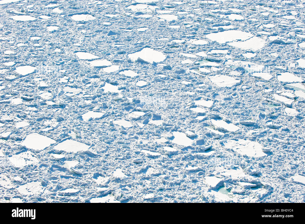 Ice floes on the pacific ocean in the sunlight, Hokkaido, Japan, Asia Stock Photo