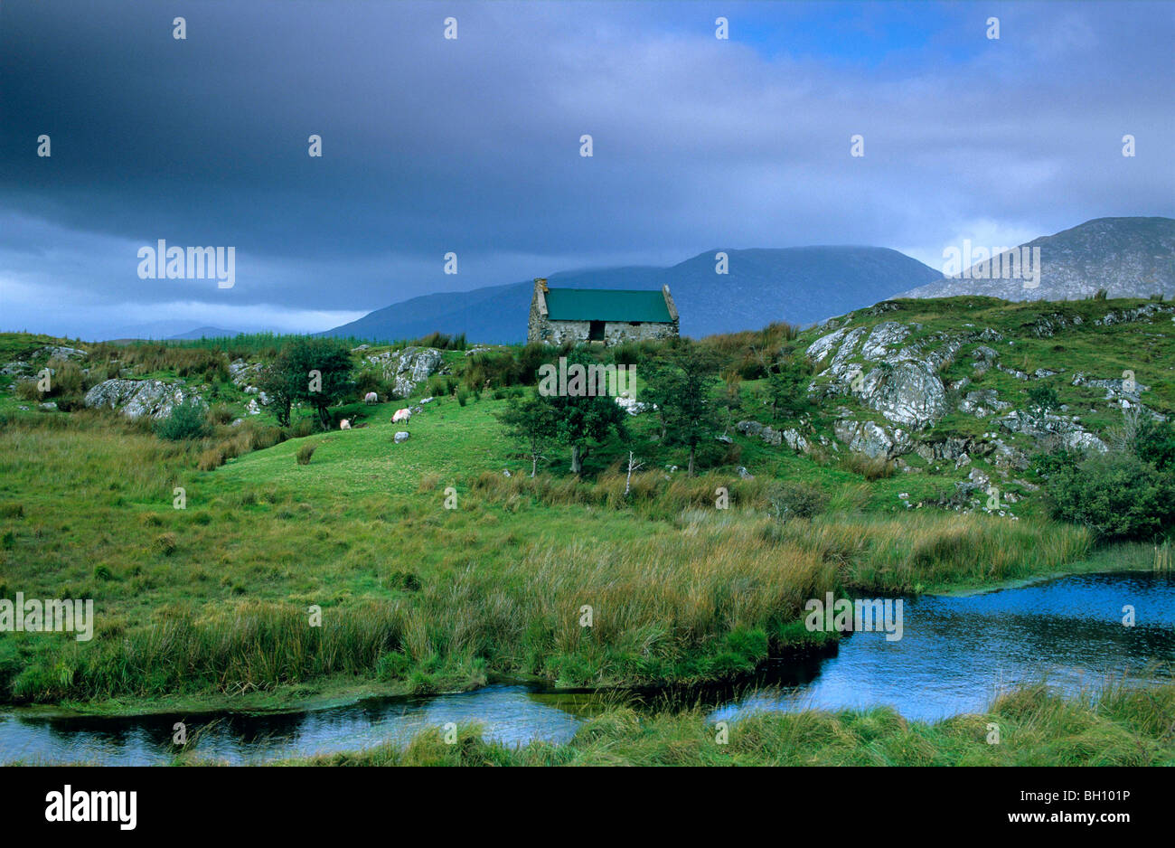 Europe, Great Britain, Ireland, Co. Galway, Connemara, cottage near Maam Cross Stock Photo