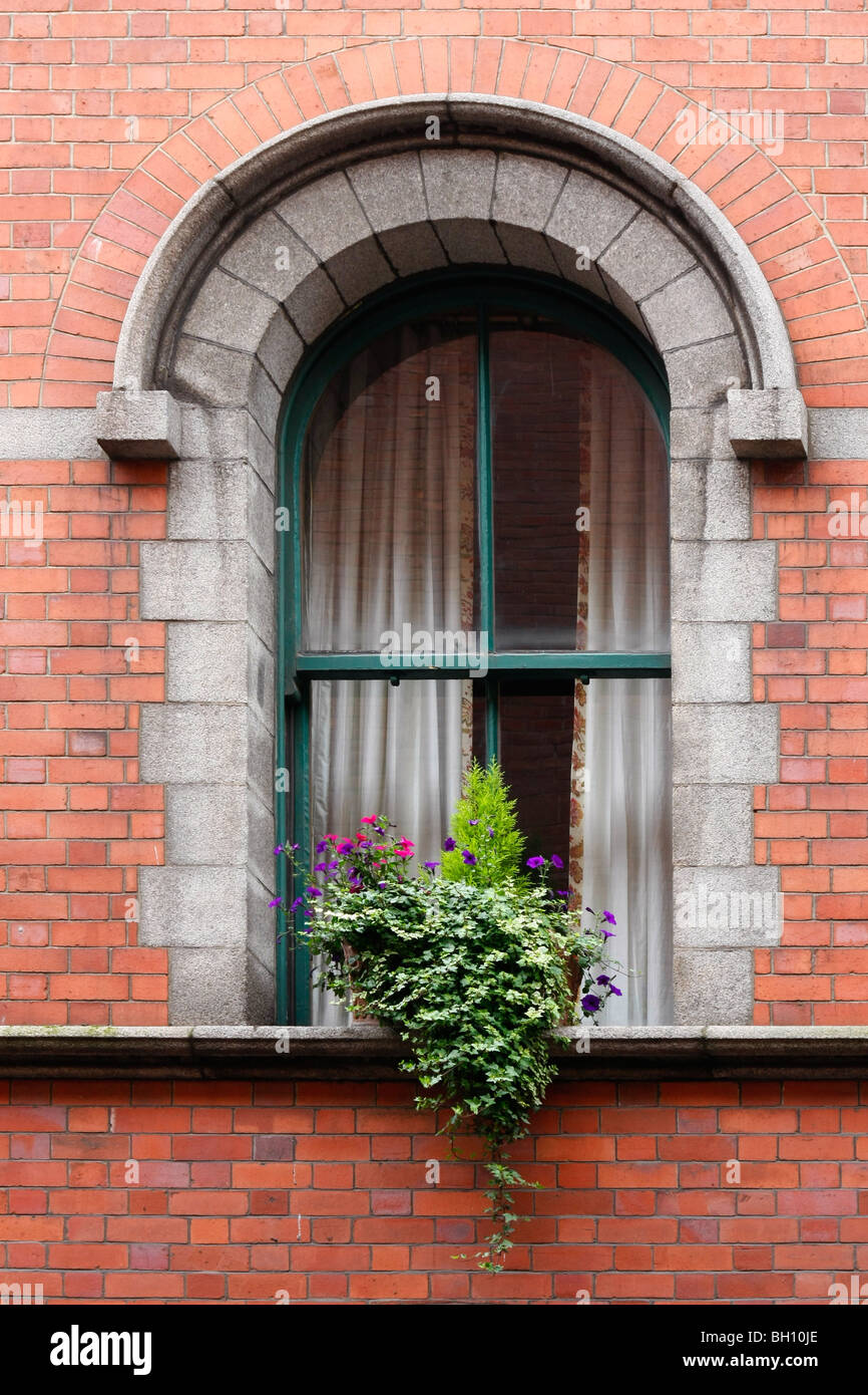 Typical window in Dublin, Eire Stock Photo Alamy