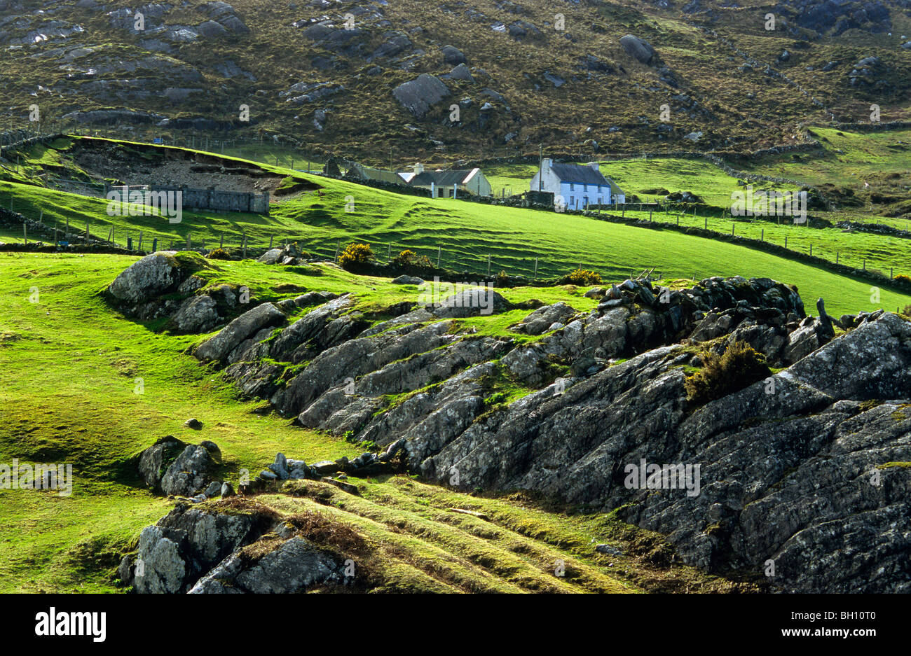 Rural landscape with farmhouses in the Ring of Beara, near Allihies, Co