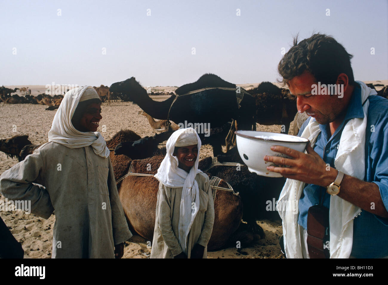 Camels milk hi-res stock photography and images - Alamy