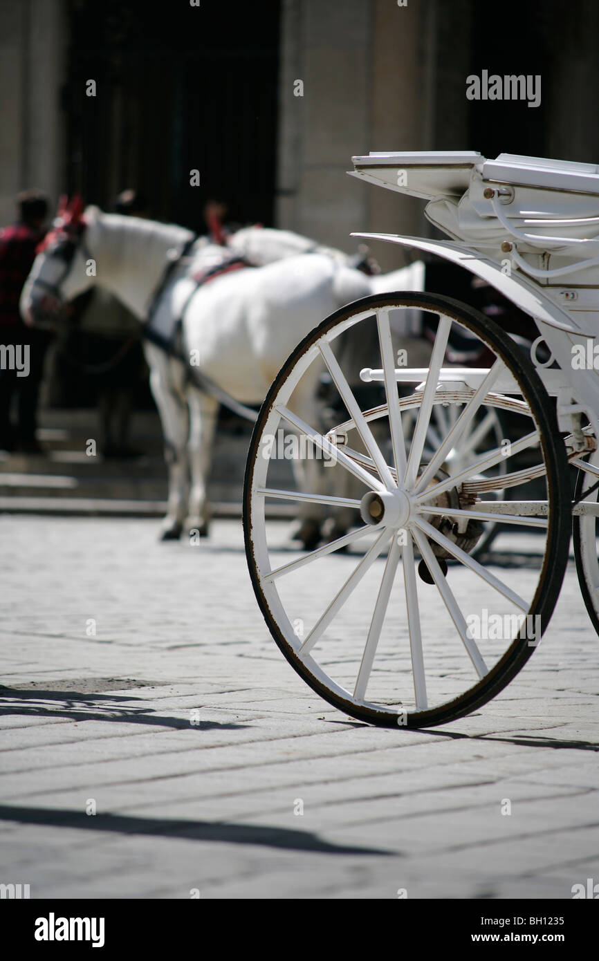 Fiaker, Horse drawn carriage, Vienna, Austria Stock Photo