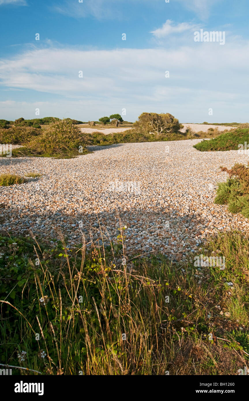 Dungeness Rspb Map Dingeness RSPB Reserve, Dungeness, Kent, England Stock Photo - Alamy