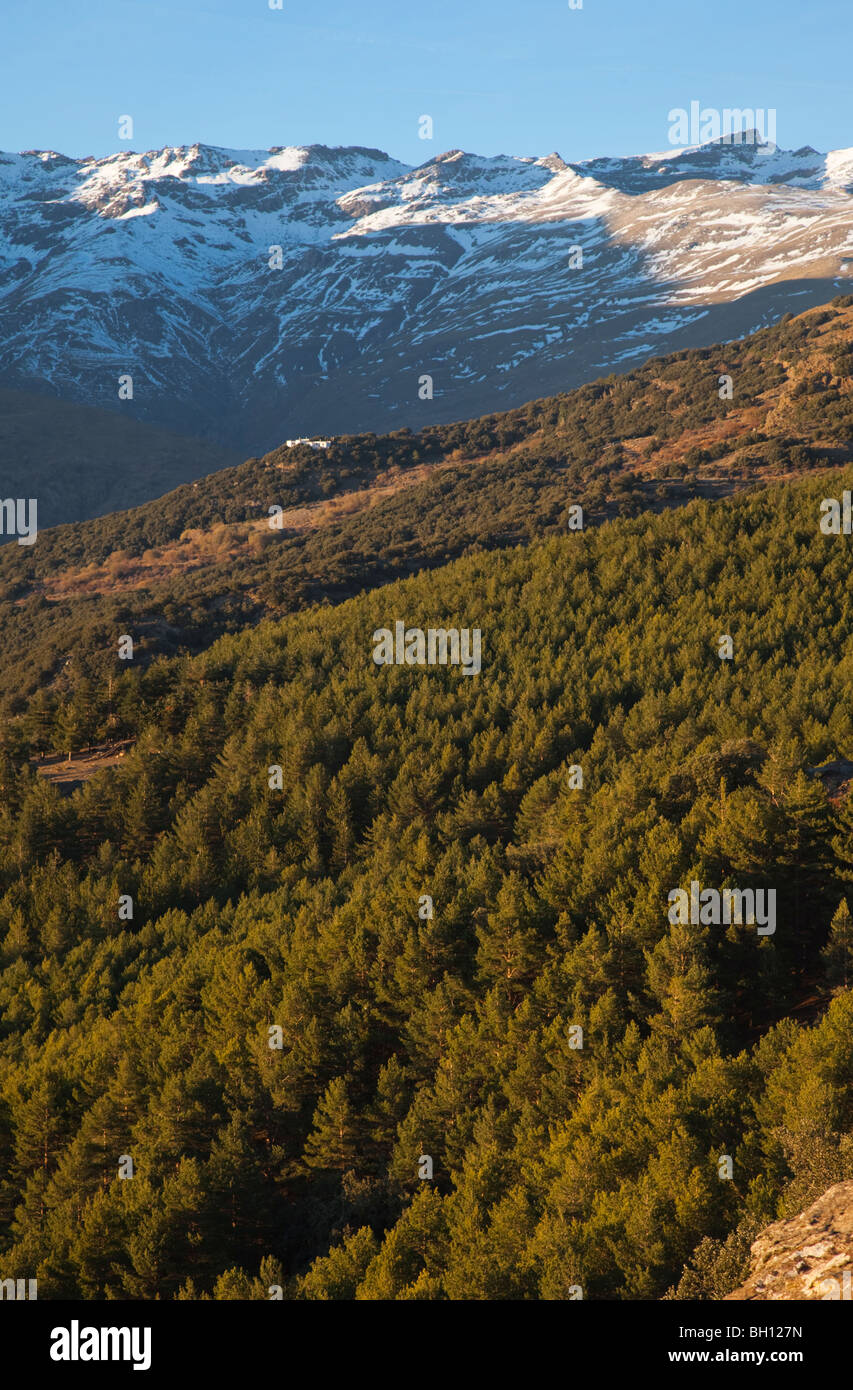 The highest summit of Spain. Sierra Nevada, Granada, Spain Stock Photo