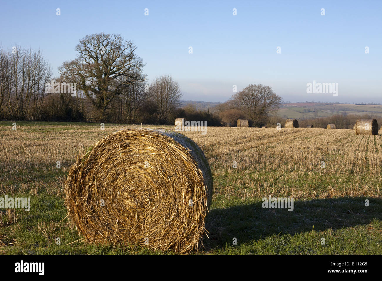 Hay bales on a winters day Stock Photo