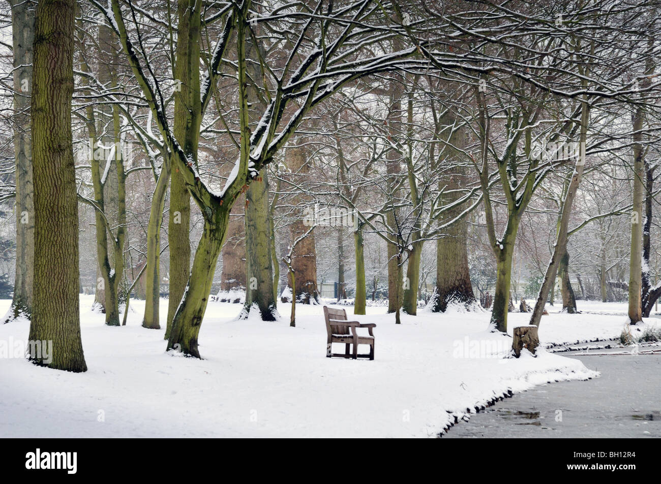 Park bench in snow covered woods Stock Photo - Alamy