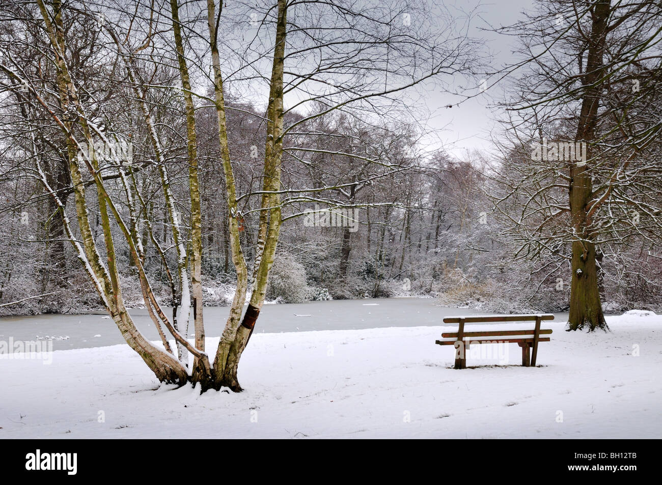 Park bench in snow covered woods Stock Photo - Alamy