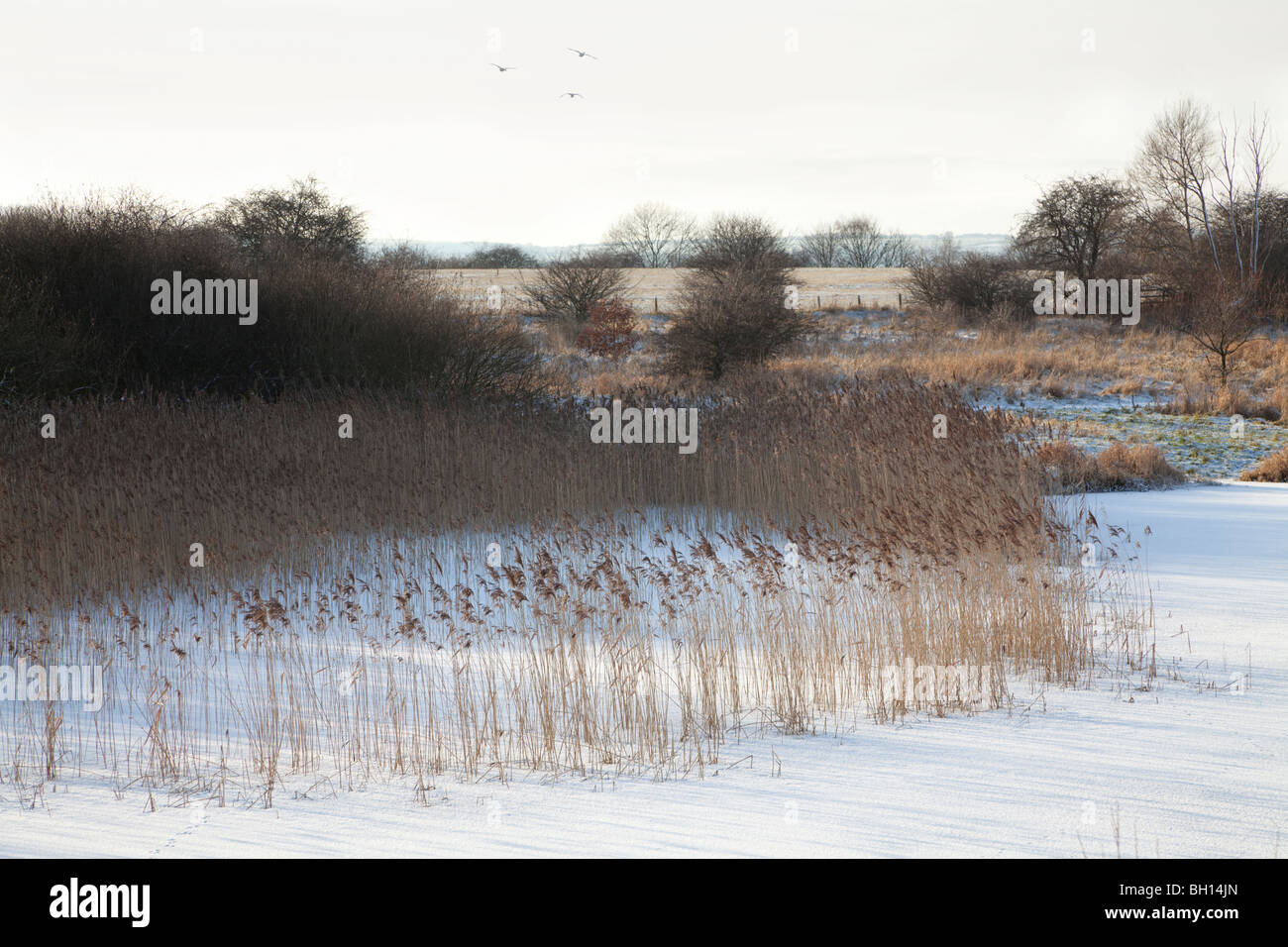 Wintersett Reservoir in Winter, Ryhill West Yorkshire Stock Photo Alamy