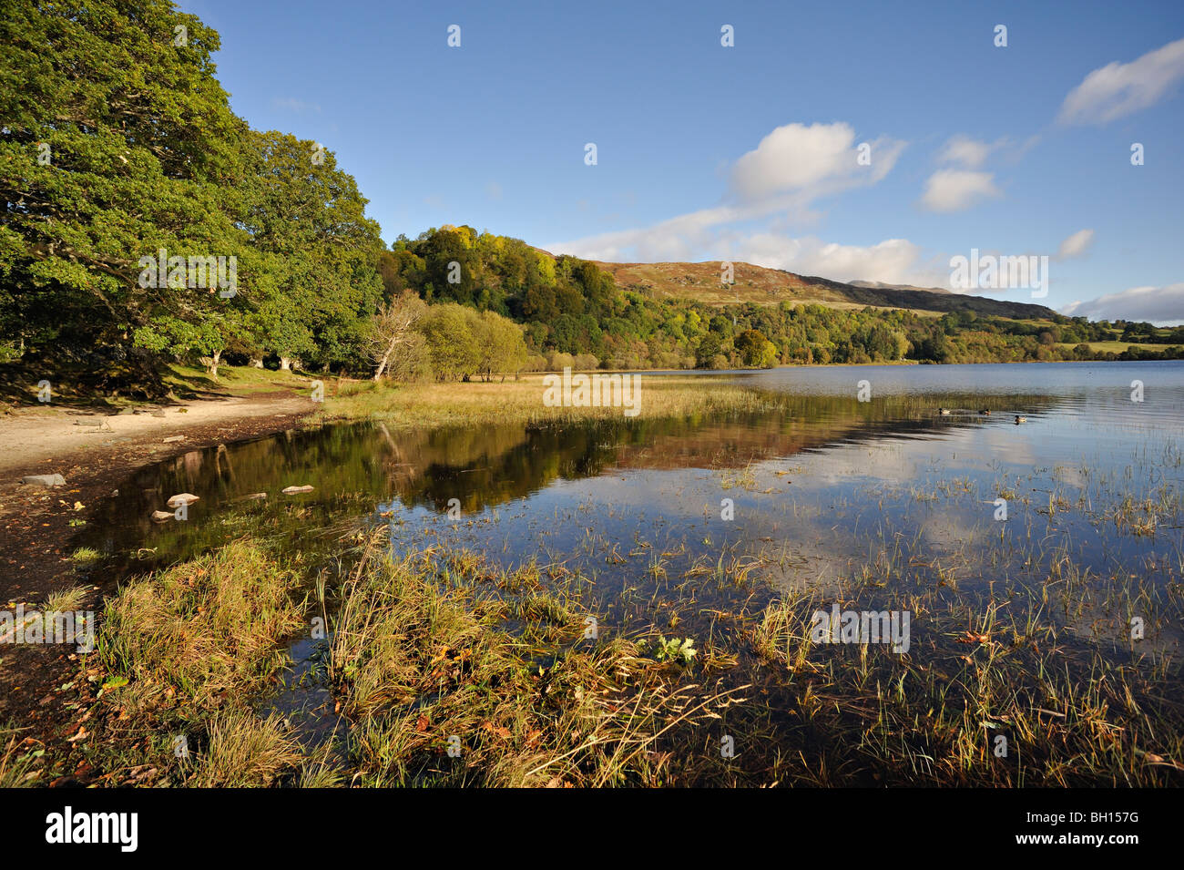 Loch tay hi-res stock photography and images - Alamy