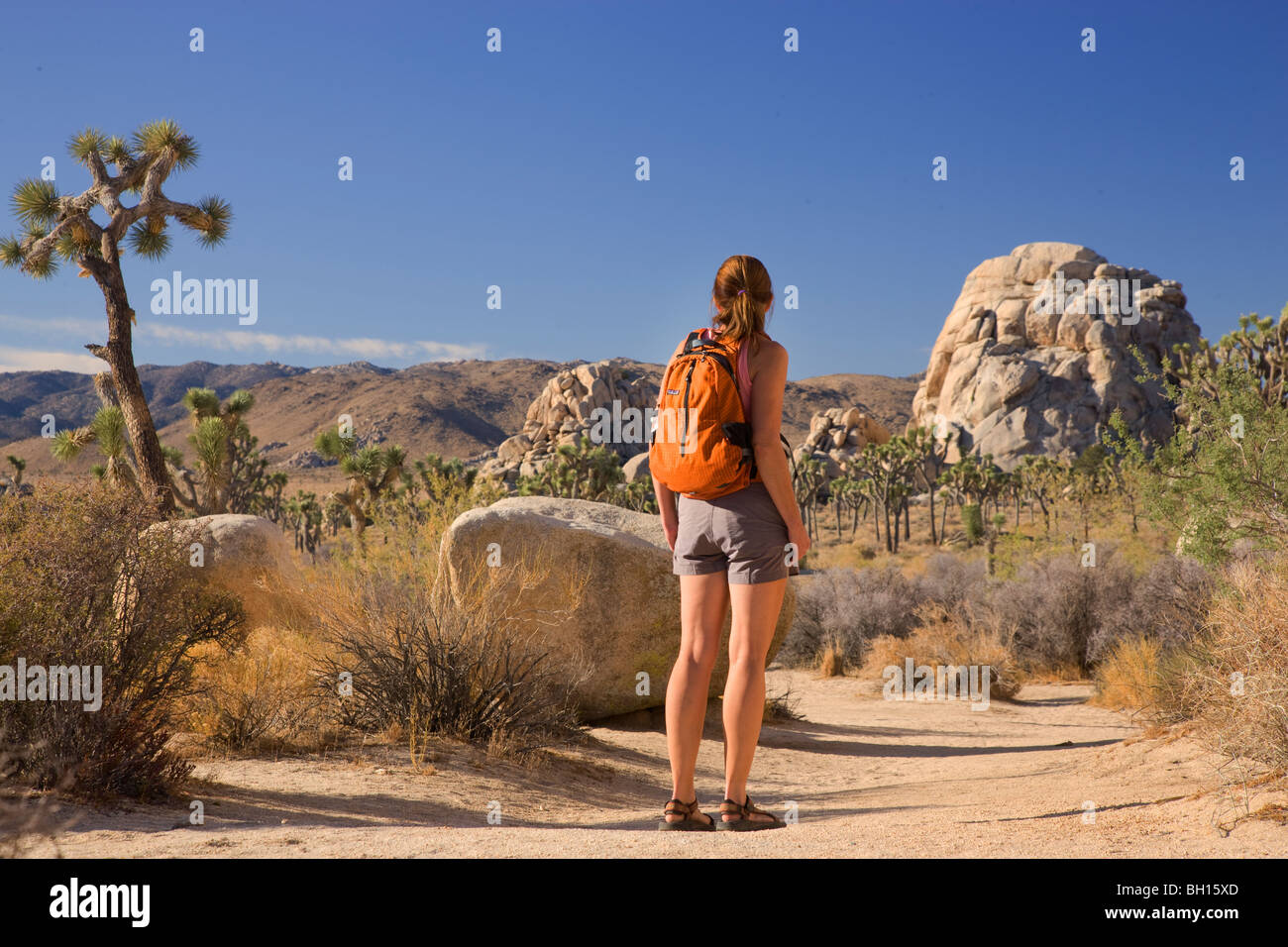 A hiker in Joshua Tree National Park, California. (Model released) Stock Photo
