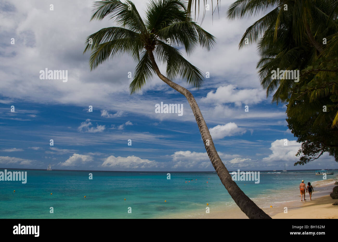 Palm tree sea beach hi-res stock photography and images - Alamy