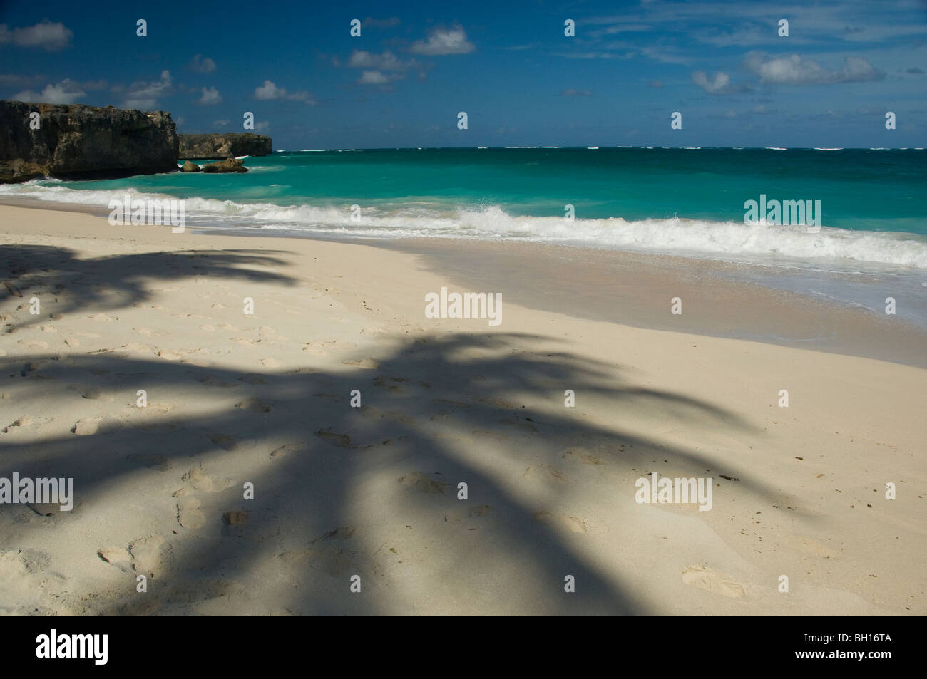 The shadow of a palm tree on the beach at Bottom Bay on the East Coast of Barbados, The Windward Islands, The Caribbean Stock Photo