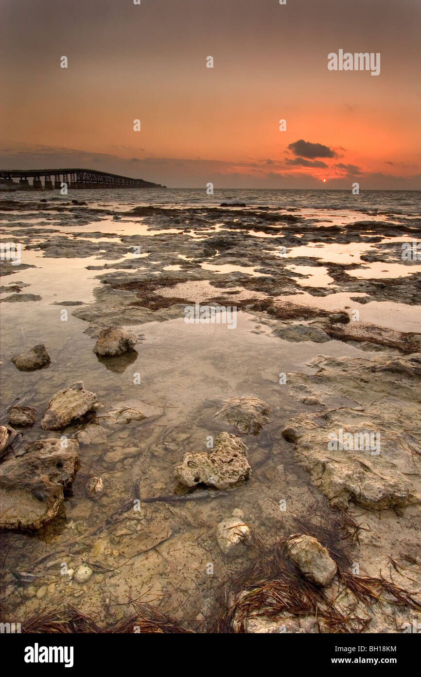 Sunrise over tidepools on fossil coral reef limestone, Bahia Honda, Florida Keys, Florida. Stock Photo