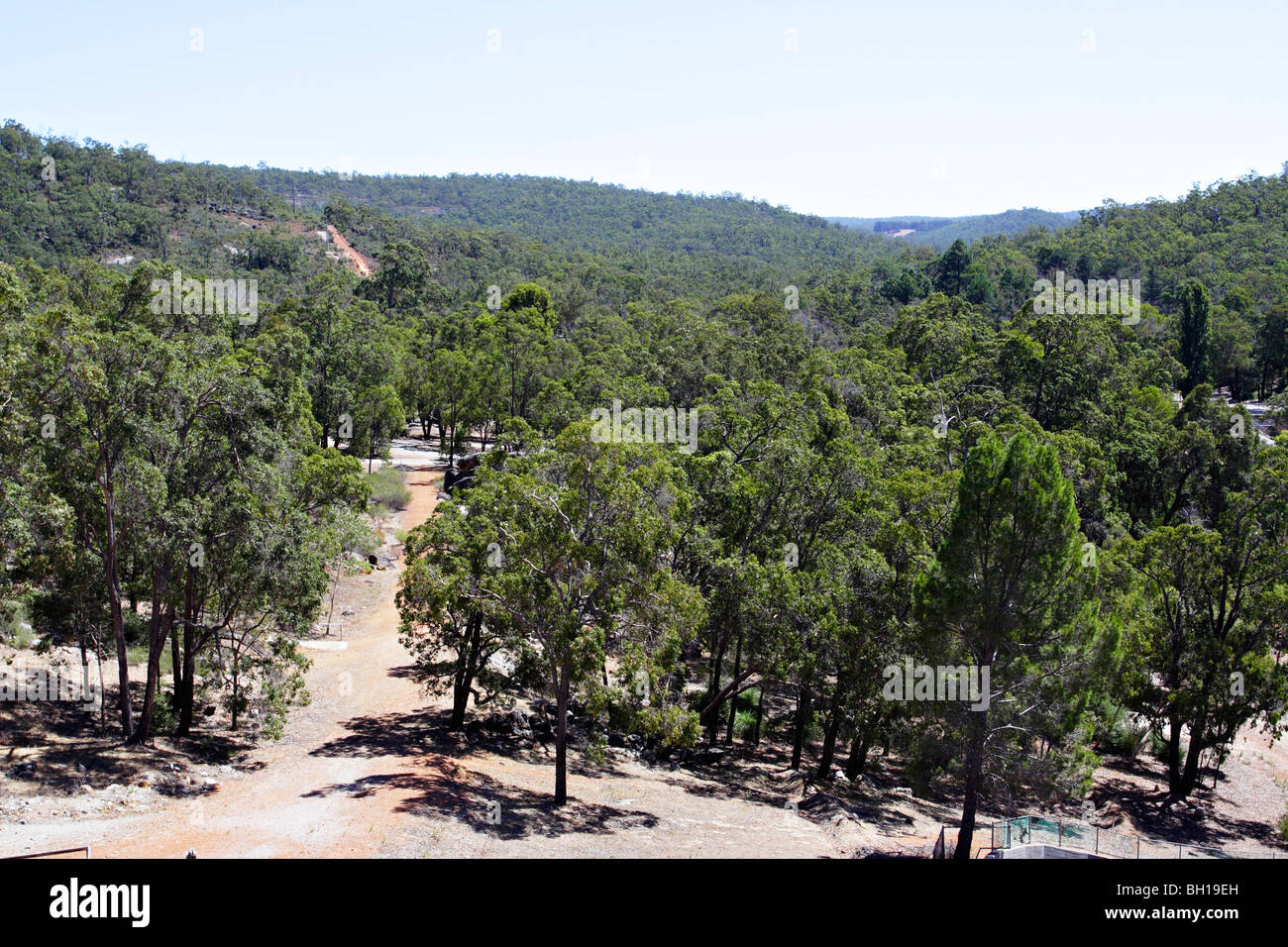 Forest near Mundaring Reservoir in Western Australia. Stock Photo
