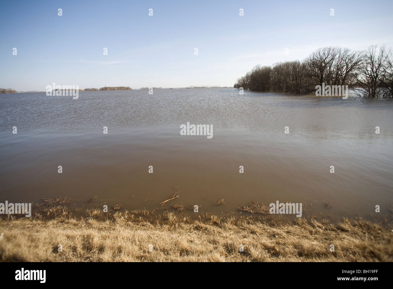 Floodwaters from Red River make field look like a lake, rural Manitoba, Canada Stock Photo